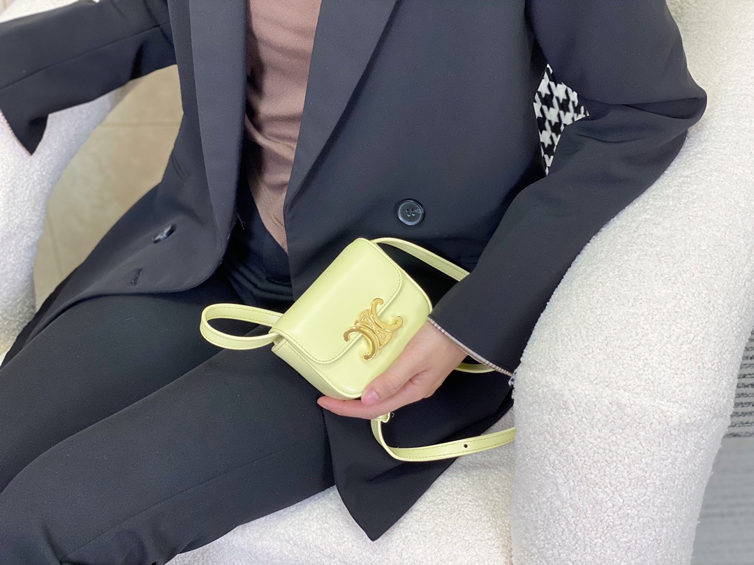 Celine Besace Bags